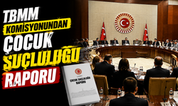 TBMM Komisyonundan Çocuk Suçluluğu Raporu