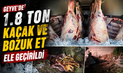 Geyve’de 1.8 Ton Kaçak ve Bozuk Et Ele Geçirildi