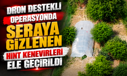 Adapazarı’nda drone destekli operasyon: 20 kök kenevir ele geçirildi