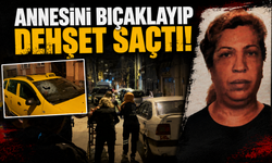 Annesini bıçaklayıp dehşet saçtı