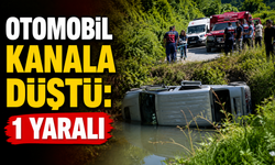 Kocaali'de Otomobil Kanala Düştü: 1 Yaralı