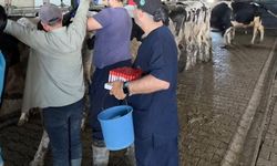 Keşan'da hastalıktan ari işletmeler denetlendi
