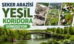 Şeker Arazisi Yeşil Koridora Dönüşüyor