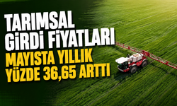 Tarımsal Girdi Fiyatları Mayısta Yıllık Yüzde 36,65 Arttı