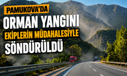 Pamukova’da orman yangını ekiplerin müdahalesiyle söndürüldü