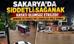 Sakarya'da Şiddetli Sağanak Hayatı Olumsuz Etkiledi! Hendek ve Ferizli'de Caddeler Göle Döndü