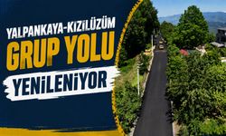Yalpankaya-Kızılüzüm Grup Yolu Yenileniyor