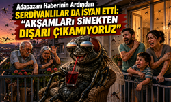 Adapazarı Haberinin Ardından Serdivanlılar da İsyan Etti: "Akşamları Sinekten Dışarı Çıkamıyoruz"