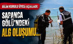 Bilim Kurulu Üyesi Açıkladı: Sapanca Gölü’ndeki Alg Oluşumu Mevsimsel