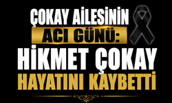 Çokay Ailesinin Acı Günü: Hikmet Çokay Hayatını Kaybetti