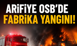 Arifiye OSB’de fabrika yangını!