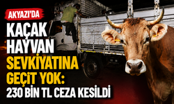 Akyazı’da Kaçak Hayvan Sevkiyatına Geçit Yok: 230 Bin TL Ceza Kesildi