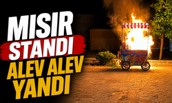 Karasu’da Konser Alanında Mısır Standı Alev Aldı