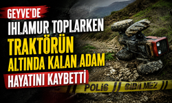 Geyve'de Ihlamur Toplarken Traktörün Altında Kalan Adam Hayatını Kaybetti
