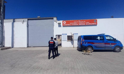 Kocaeli’de aranan 2 hükümlü JASAT operasyonuyla yakalandı
