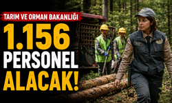 Tarım ve Orman Bakanlığı 1.156 Personel Alacak! KPSS Şartı Yok