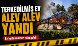 Sapanca'da Terk Edilmiş Ev Alevlere Teslim Oldu!