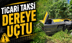 Ticari Taksi Dereye Uçtu