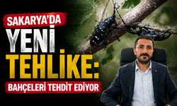 Sakarya’da Yeni Tehlike: Bahçeleri tehdit ediyor