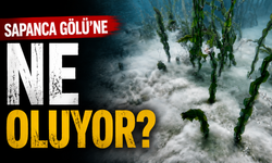 Sapanca Gölü'ne ne oluyor?