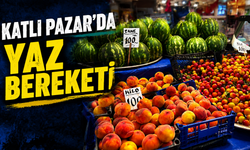 Katlı Pazar’da Yaz Bereketi