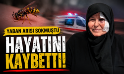 Hendek’te Yaban Arısı Soktu, 78 Yaşındaki Kadın Hayatını Kaybetti