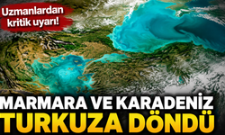 Marmara ve Karadeniz turkuza döndü!