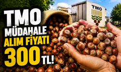TMO müdahale alım fiyatı 300 TL!