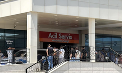 Arazi kavgasında birbirlerine girdiler!