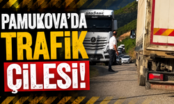 Pamukova’da D-650 Çilesi Büyüyor