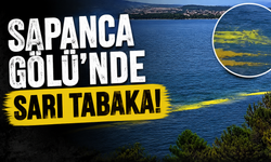 Sapanca Gölü’ndeki Yosunumsu Şeridin Nedeni Belli Oldu