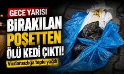 Gece Yarısı Bırakılan Poşetten Ölü Kedi Çıktı