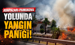Adapazarı-Pamukova Yolunda Yangın Paniği