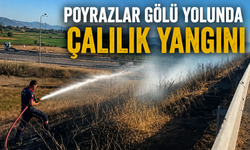 Poyrazlar Gölü yolunda çalılık yangını!