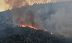 Antalya’daki Orman Yangınına Müdahale Sürüyor