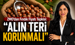 ZMO’dan Fındık Fiyatı Tepkisi: “Alın Teri Korunmalı”