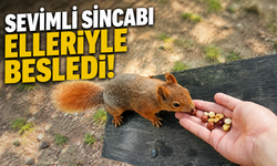 Sevimli sincabı elleriyle besledi!