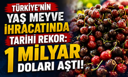 Türkiye’nin Yaş Meyve İhracatında Tarihi Rekor: İlk Kez 1 Milyar Doları Aştı