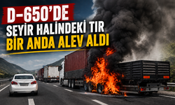 D-650'de seyir halindeki TIR bir anda alev aldı