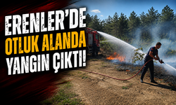 Erenler'de otluk alanda yangın çıktı!