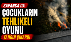 Sapanca’da çocukların tehlikeli oyunu yangın çıkardı