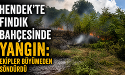 Hendek’te fındık bahçesinde yangın: Ekipler büyümeden söndürdü