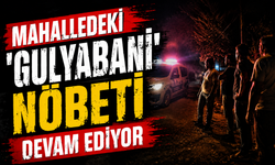 Adapazarı’nda mahalleli gece nöbetinde: “Gulyabani”yi aratmayan şahıs korku saçıyor