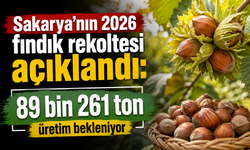 Sakarya’nın 2026 fındık rekoltesi açıklandı: 89 bin 261 ton üretim bekleniyor