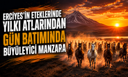 Erciyes’in Eteklerinde Yılkı Atlarından Gün Batımında Büyüleyici Manzara