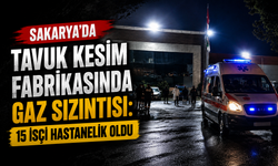 Sakarya’da Tavuk Kesim Fabrikasında Gaz Sızıntısı: 15 İşçi Hastanelik Oldu