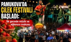 Pamukova’da Çilek Festivali başladı!