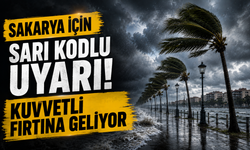 Sakarya için sarı kodlu uyarı! Kuvvetli fırtına geliyor