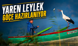 Yaren leylek veda için hazırlanıyor: Adem amcanın gözleri doluyor