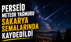 Perseid Meteor Yağmuru Sakarya semalarında kaydedildi